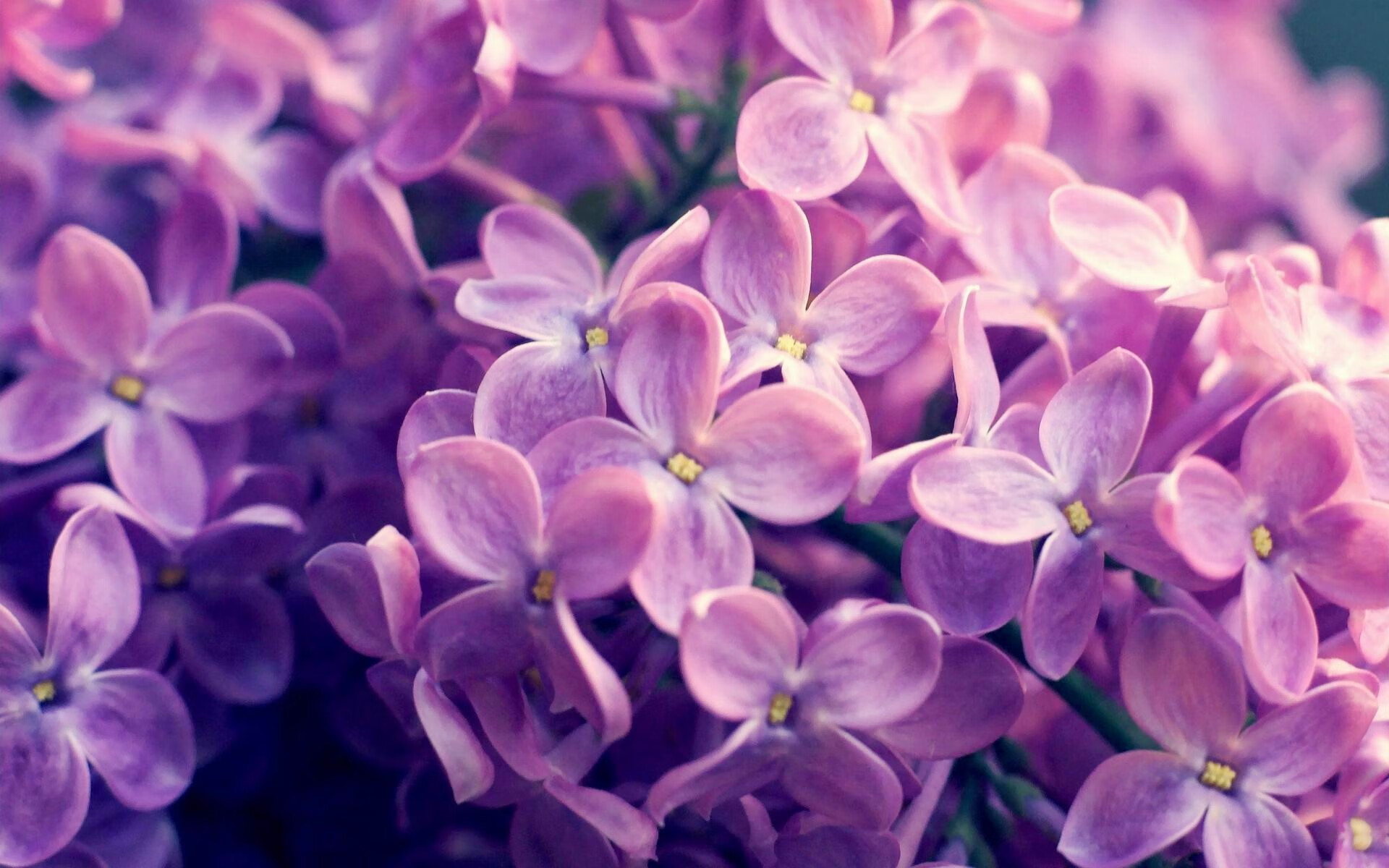 一位老将在比赛中展现出经验的价值,一位老将在比赛中展现出经验的价值英语