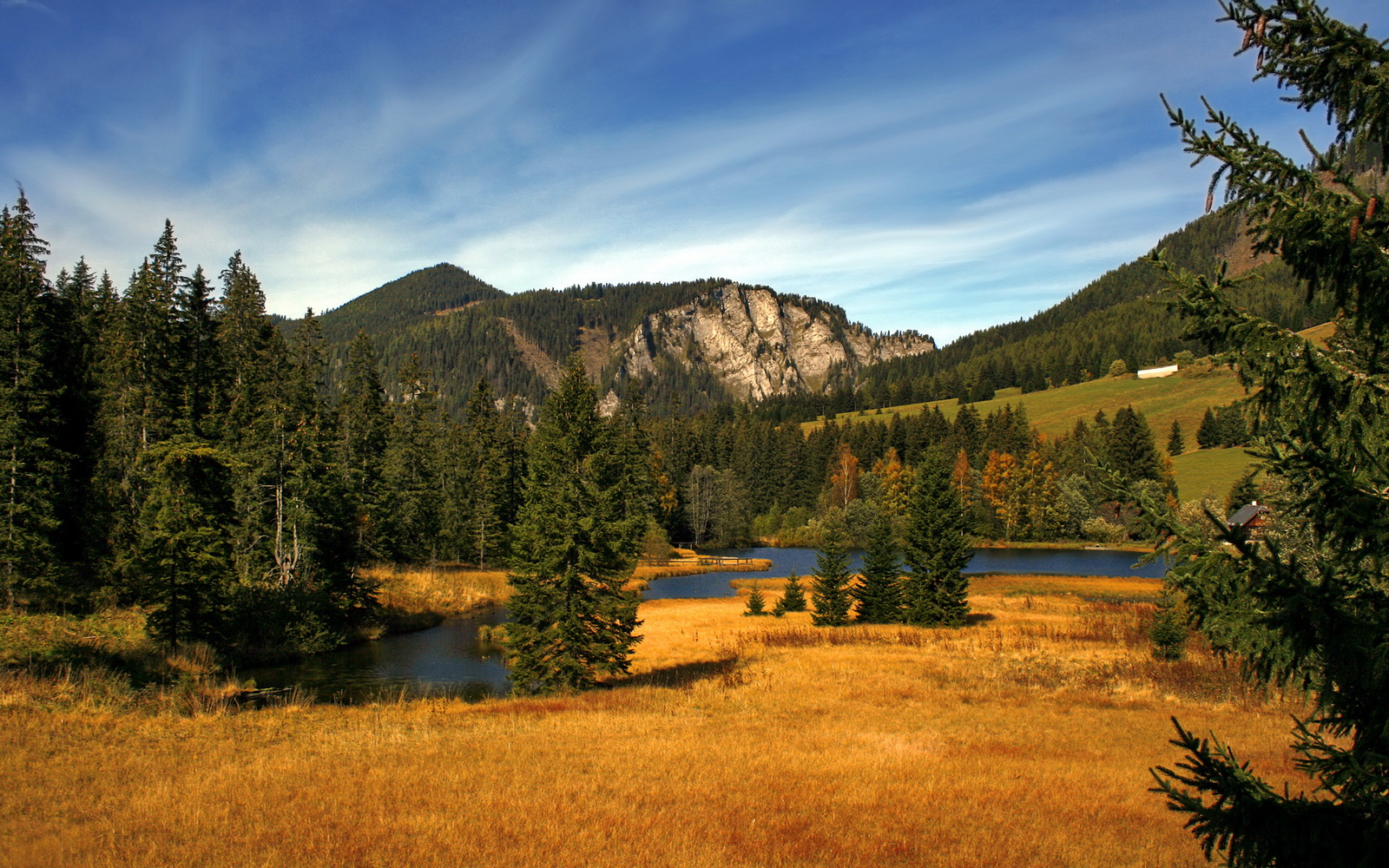 国足主场小胜泰国，世预赛中武磊打入制胜球，国足对战泰国赢了吗