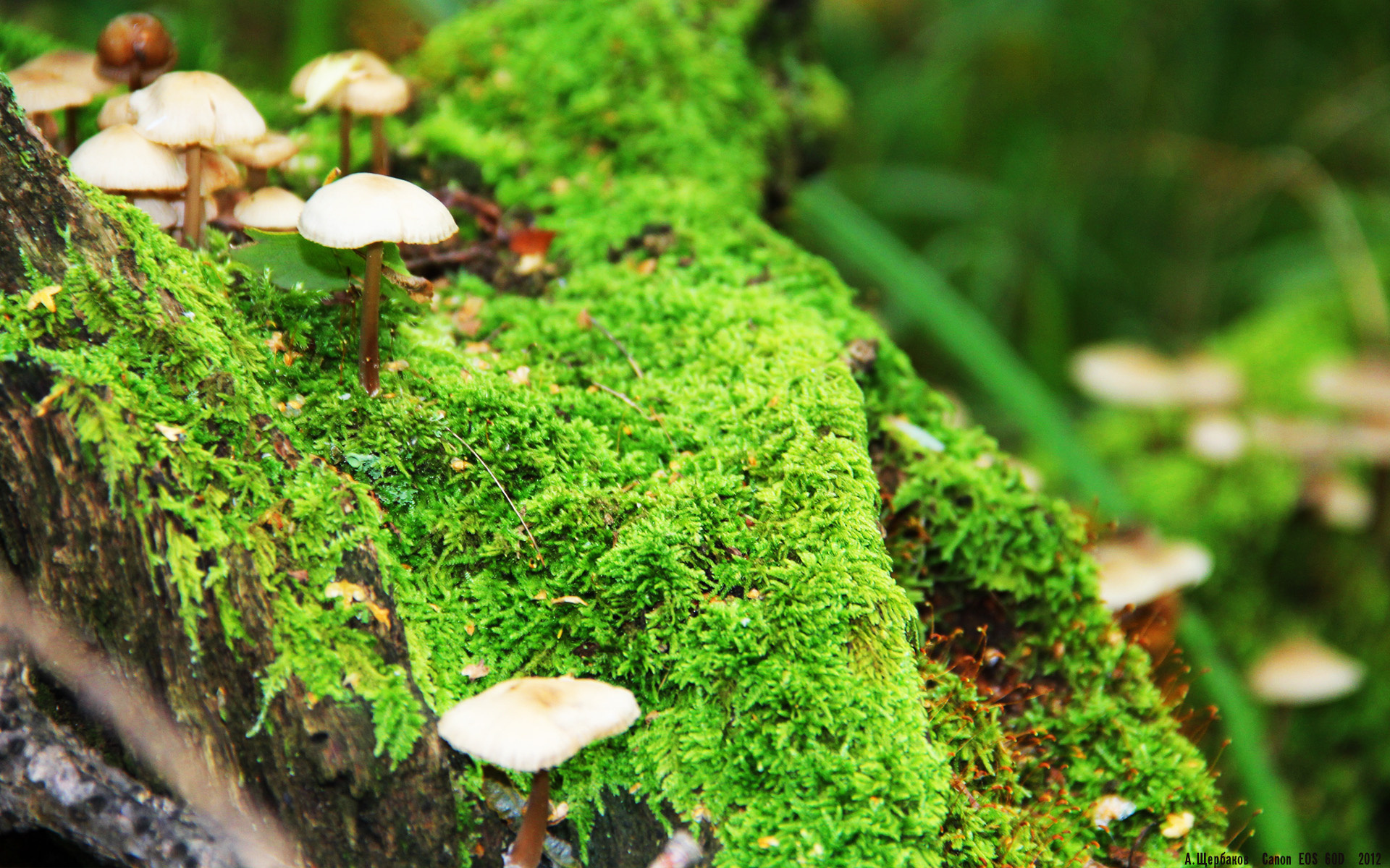 下载开云-天津荣钢防守配合不断加强，天津荣钢全称