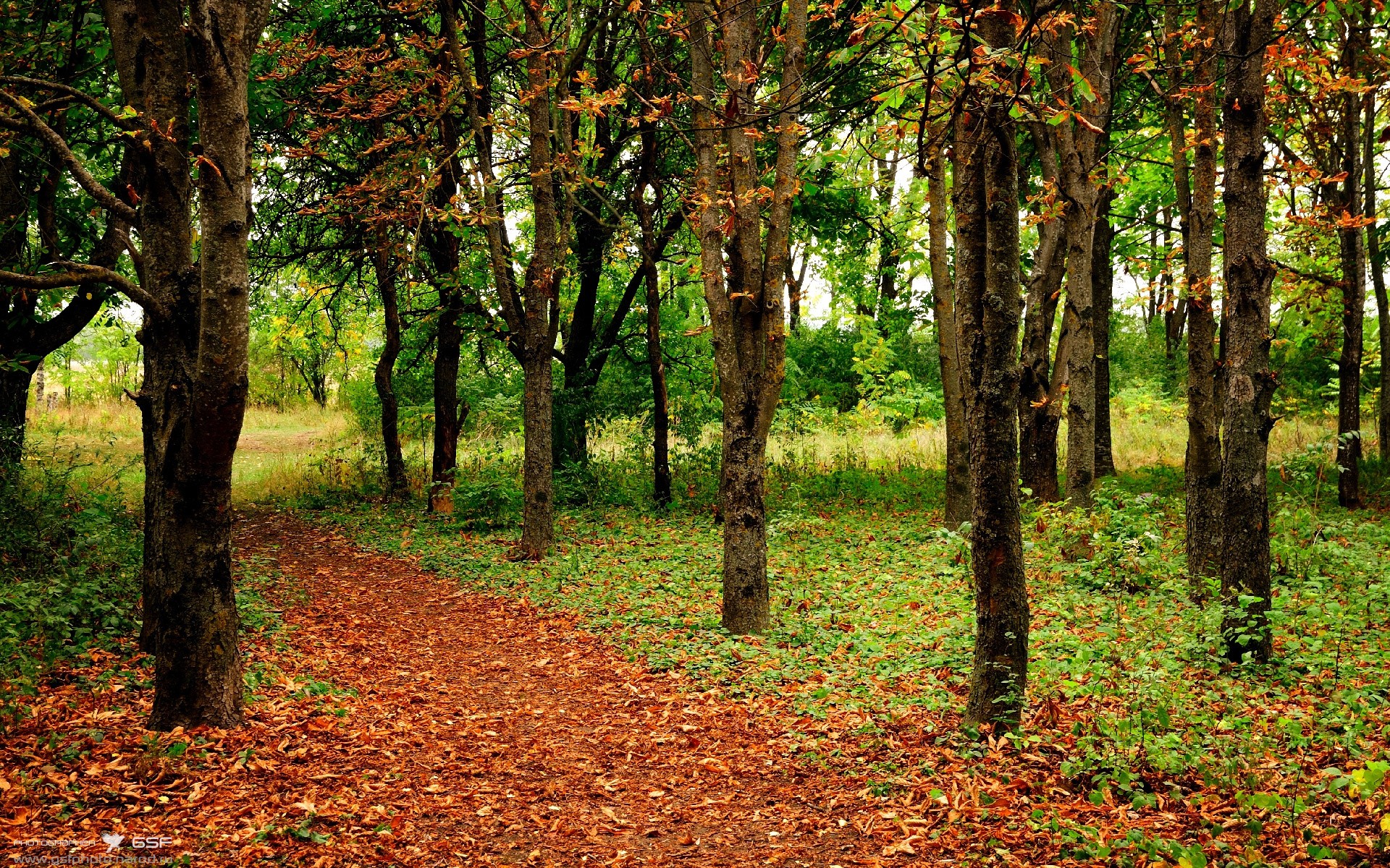 斯洛伐克主场全取三分,逐步追赶积分榜前列,斯洛伐克客场