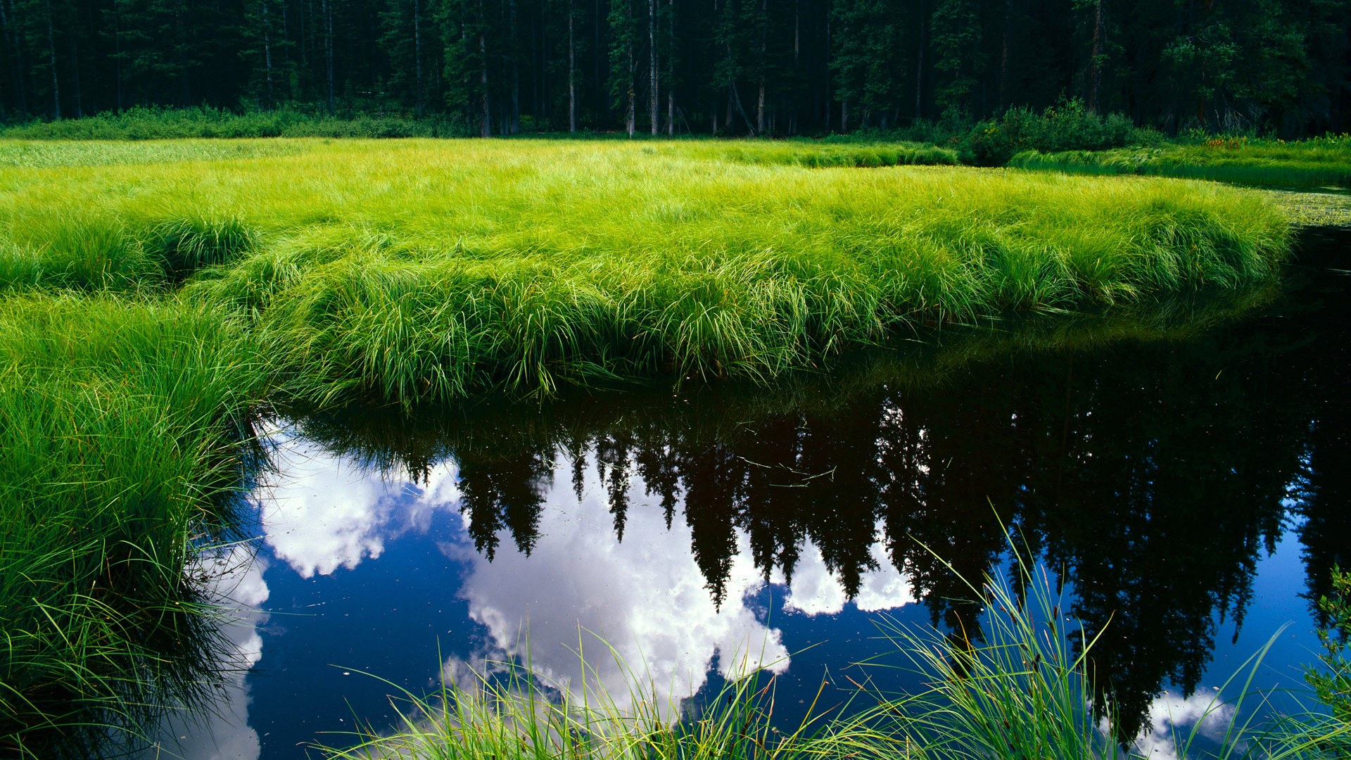 kaiyun app download-阿斯顿维拉客场平局，稳定发挥，球队保持不败状态，阿斯顿维拉引援