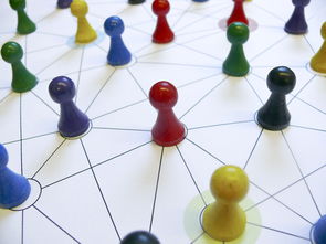 开云体育娱乐app安全-中国篮球青训教练员能力提升路径，篮球青训师的待遇怎么样