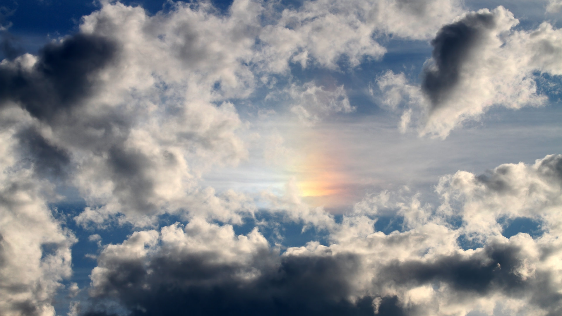 校园篮球竞赛如何与中考高考兼容,校园联赛篮球