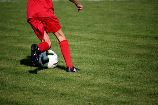 开云娱乐-足球场馆数字化管理平台正式上线，提升运营效率，足球场管理系统app